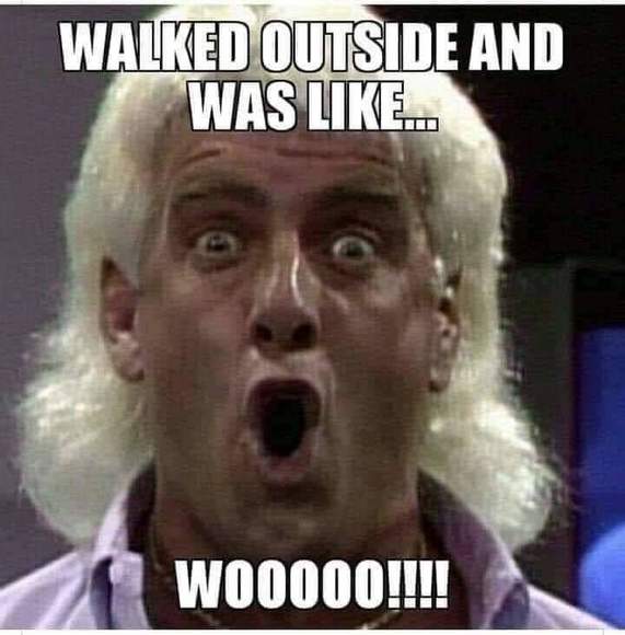 Meet your Posher, Claus - Picture 1 of 1